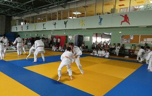Fête du judo