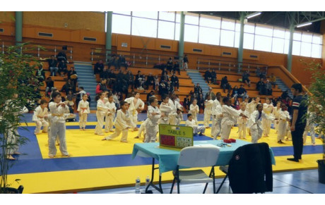 Tournoi de Judo