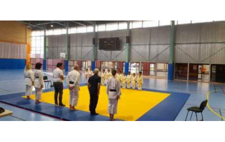 Mini Tournoi Karaté