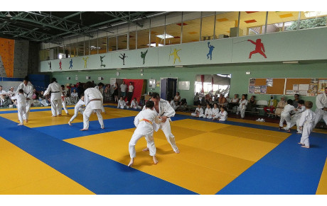 Fête du judo