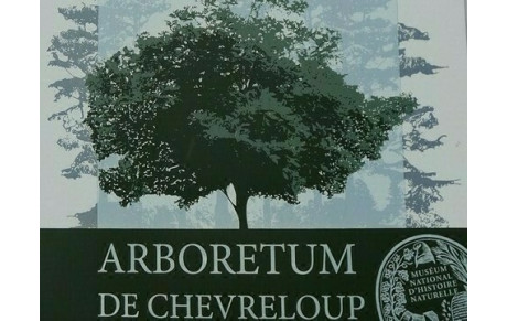 Sortie Découverte: Arborétum VERSAILLES-CHEVRELOUP