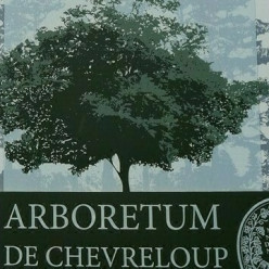 Sortie Découverte: Arborétum VERSAILLES-CHEVRELOUP