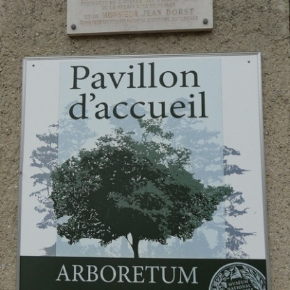 Sortie Découverte :Arboretum CHEVRELOUP