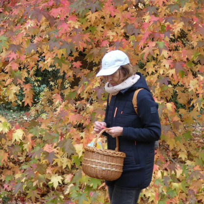 Sortie Découverte :Arboretum CHEVRELOUP