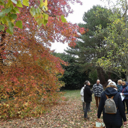Sortie Découverte :Arboretum CHEVRELOUP